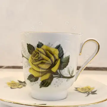 Tekli Fincan