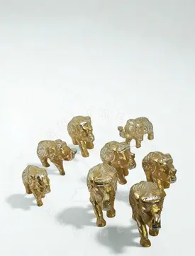 Gold Bakır fil sürüsü