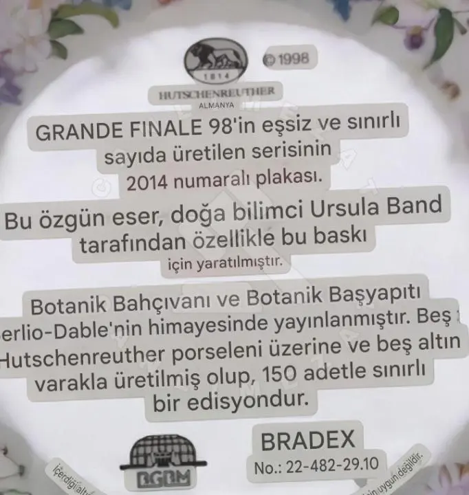 Duvar Tabaği fotoğraf 3