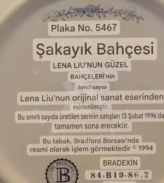 Duvar Tabaği fotoğraf 3